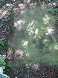 image of grave number 424437